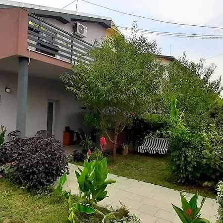 Apartman Tattoo R Negotin