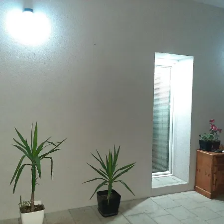 Apartman Tattoo R Negotin