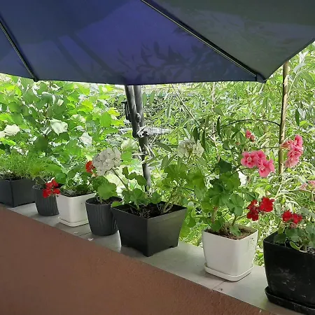 アパート Tattoo R *