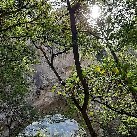 Tattoo R ネゴティン