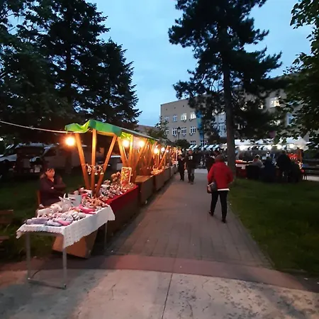 Tattoo R Apartman Negotin