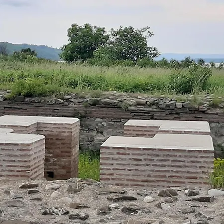 Tattoo R * 네고틴