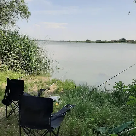 Tattoo R ネゴティン