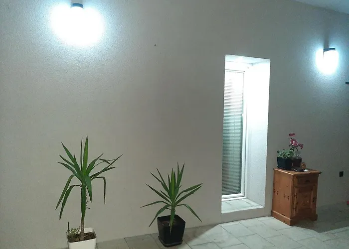 아파트 Tattoo R 네고틴