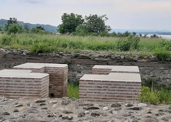 Tattoo R * 네고틴