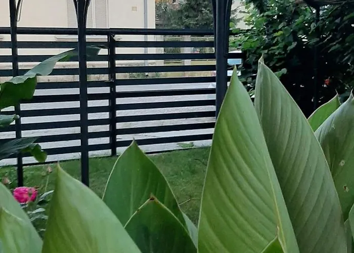 Tattoo R * 네고틴